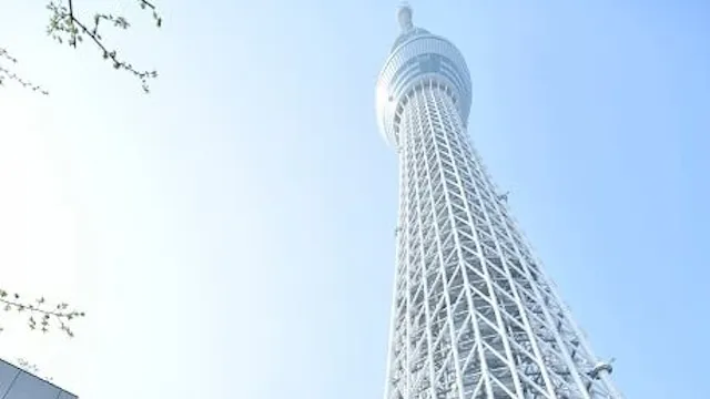 東京の人気デートスポット95選!カップルにおすすめの定番&穴場