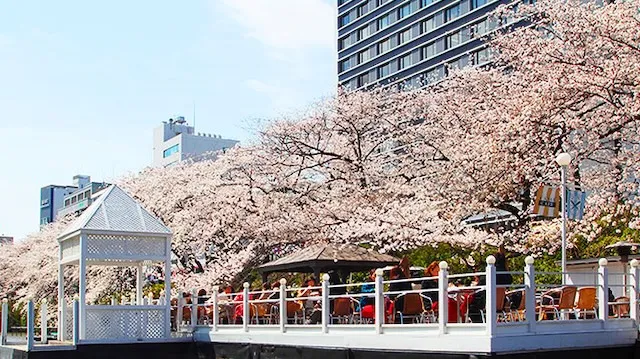 東京の人気デートスポット95選!カップルにおすすめの定番&穴場