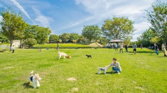 前橋市の人気デートスポット16選!カップルにおすすめの定番&穴場