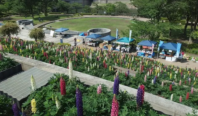 相模原市の人気デートスポット27選！カップルにおすすめの定番&穴場