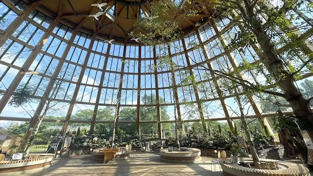 新潟市の人気デートスポット30選!カップルにおすすめの定番&穴場