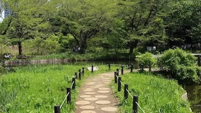 東京の人気デートスポット95選!カップルにおすすめの定番&穴場