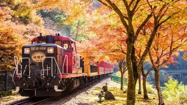 京都市の人気デートスポット53選！カップルにおすすめの定番&穴場