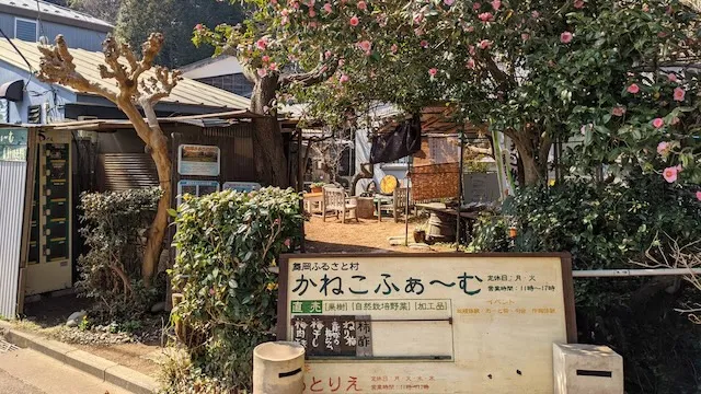 横浜市戸塚区のおすすめカフェデート18選!初デートから2回目以降も安心の目的別ガイド