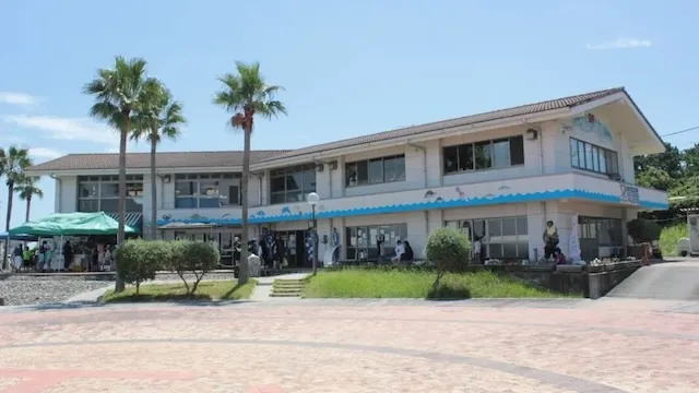 浜松市の人気デートスポット39選！カップルにおすすめの定番&穴場