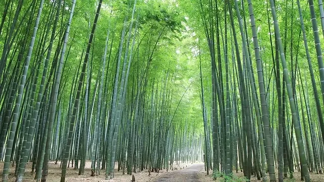 宇都宮市の人気デートスポット22選!カップルにおすすめの定番&穴場