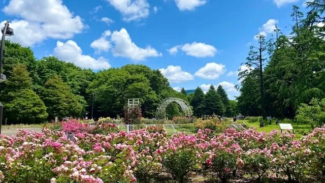 東京の人気デートスポット95選!カップルにおすすめの定番&穴場