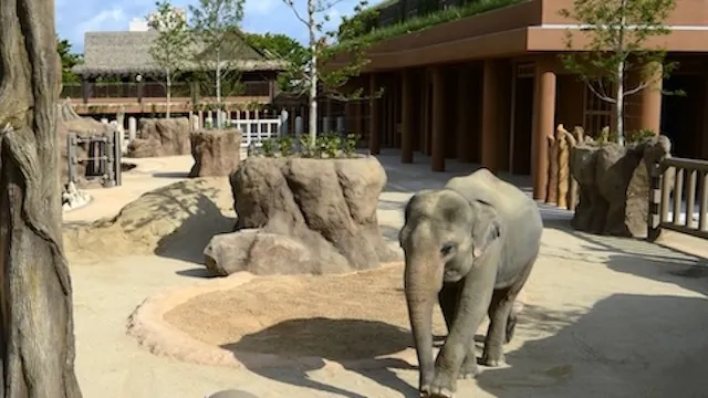 名古屋市の人気デートスポット50選！カップルにおすすめの定番&穴場