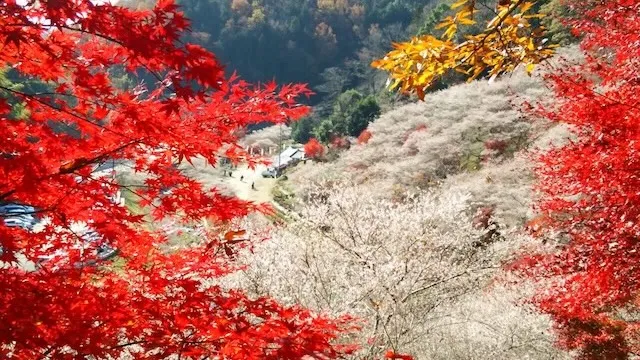 豊田市の人気デートスポット26選！カップルにおすすめの定番&穴場