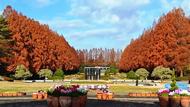 相模原市の人気デートスポット27選！カップルにおすすめの定番&穴場