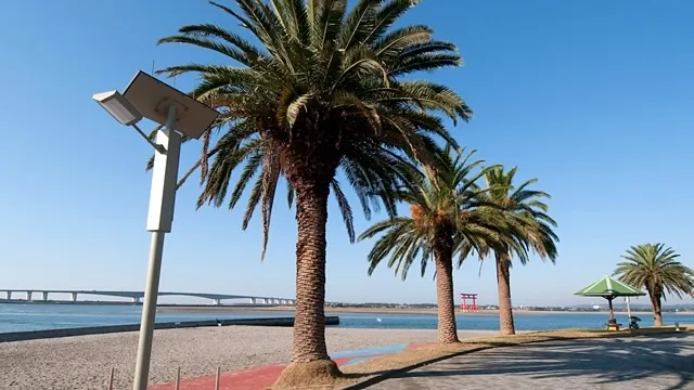 浜松市の人気デートスポット39選！カップルにおすすめの定番&穴場