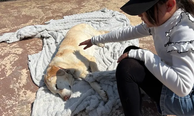 結婚相談所ラポールアンカー