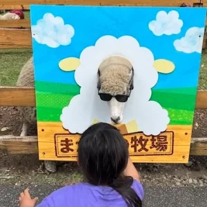 ブライダルチェックは必要？検査内容・費用・受けるタイミングを徹底解説