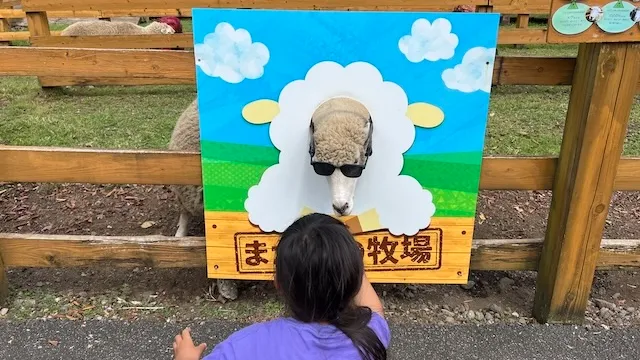 ブライダルチェックは必要？検査内容・費用・受けるタイミングを徹底解説