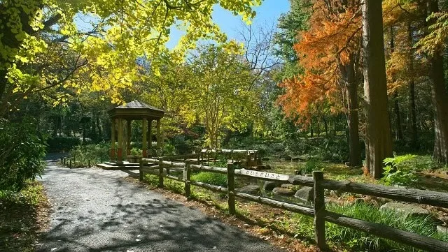 東京の人気デートスポット95選!カップルにおすすめの定番&穴場