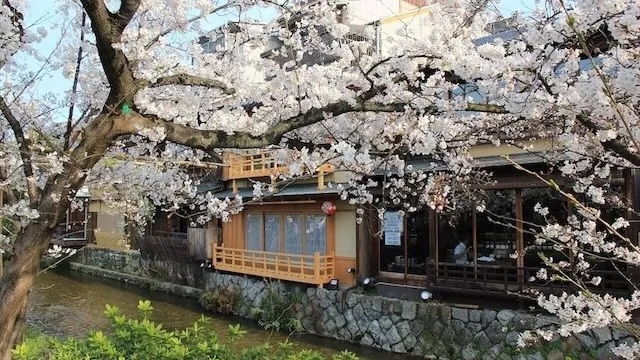 京都市の人気デートスポット53選！カップルにおすすめの定番&穴場