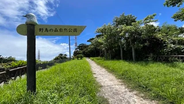 うるま市の人気デートスポット17選！カップルにおすすめの定番&穴場