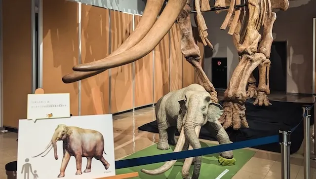 長野市の人気デートスポット31選！カップルにおすすめの定番&穴場