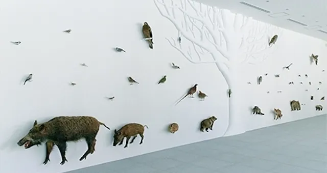 八王子市の人気デートスポット27選!カップルにおすすめの定番&穴場