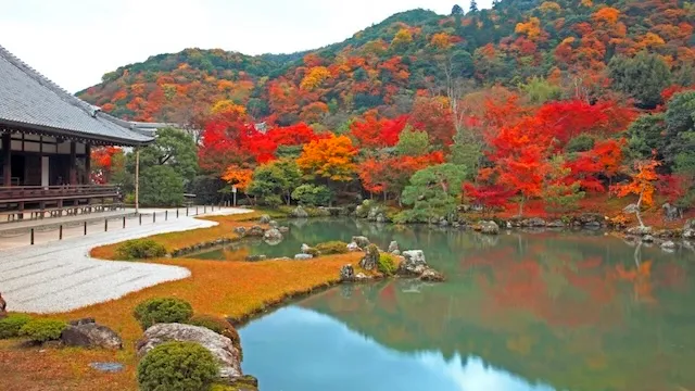 京都市の人気デートスポット53選！カップルにおすすめの定番&穴場