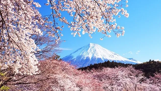 富士市の人気デートスポット16選！カップルにおすすめの定番&穴場