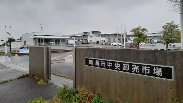 新潟市の人気デートスポット30選!カップルにおすすめの定番&穴場