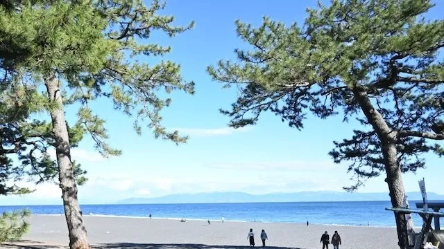 静岡市の人気デートスポット34選！カップルにおすすめの定番&穴場