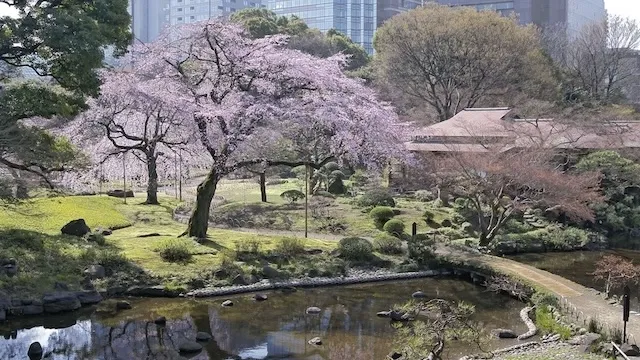 東京の人気デートスポット95選!カップルにおすすめの定番&穴場