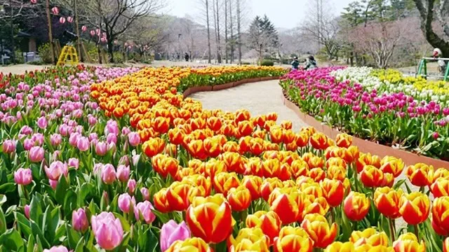 浜松市の人気デートスポット39選！カップルにおすすめの定番&穴場