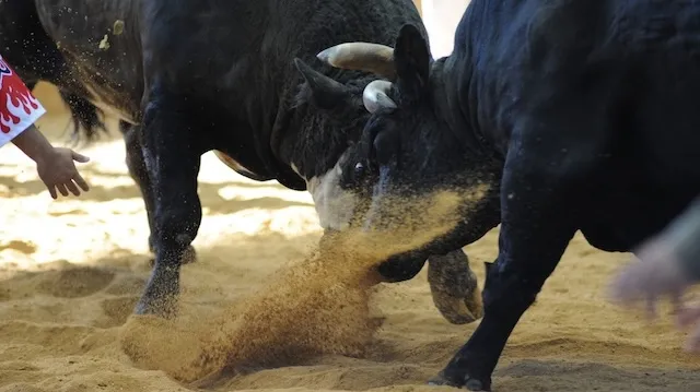 うるま市の人気デートスポット17選！カップルにおすすめの定番&穴場