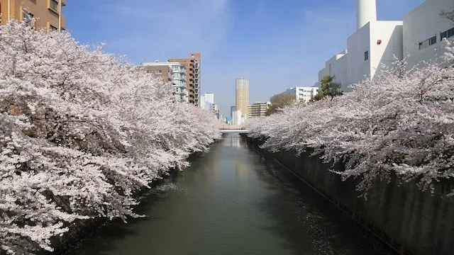 東京の人気デートスポット95選!カップルにおすすめの定番&穴場