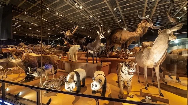 東京の人気デートスポット95選!カップルにおすすめの定番&穴場