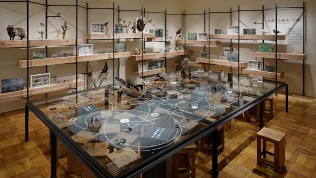 静岡市の人気デートスポット34選！カップルにおすすめの定番&穴場