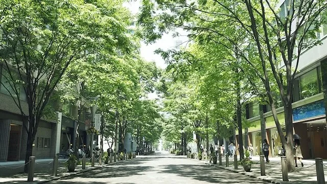 東京の人気デートスポット95選!カップルにおすすめの定番&穴場