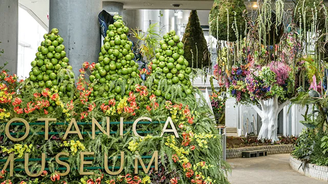 千葉市の人気デートスポット32選！カップルにおすすめの定番&穴場