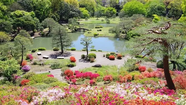 東京の人気デートスポット95選!カップルにおすすめの定番&穴場