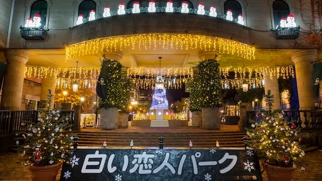 札幌市西区のおすすめカフェデート15選！初デートから2回目以降も安心の目的別ガイド