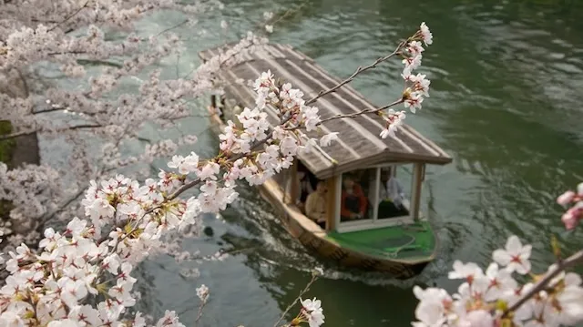 京都市の人気デートスポット53選！カップルにおすすめの定番&穴場