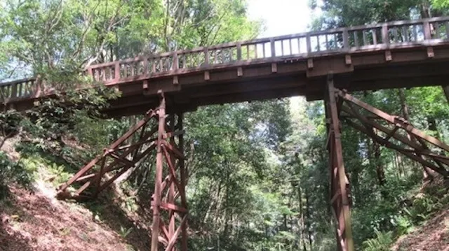 八王子市の人気デートスポット27選!カップルにおすすめの定番&穴場