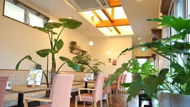 新潟市中央区のおすすめカフェデート28選！初デートから2回目以降も安心の目的別ガイド