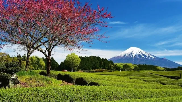 富士市の人気デートスポット16選！カップルにおすすめの定番&穴場