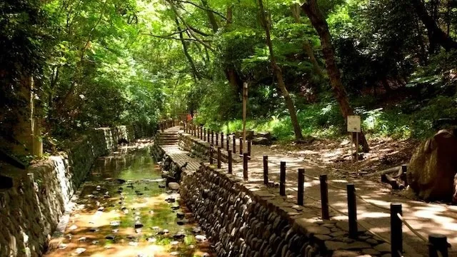 東京の人気デートスポット95選!カップルにおすすめの定番&穴場