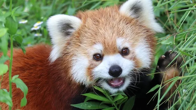 長野市の人気デートスポット31選！カップルにおすすめの定番&穴場