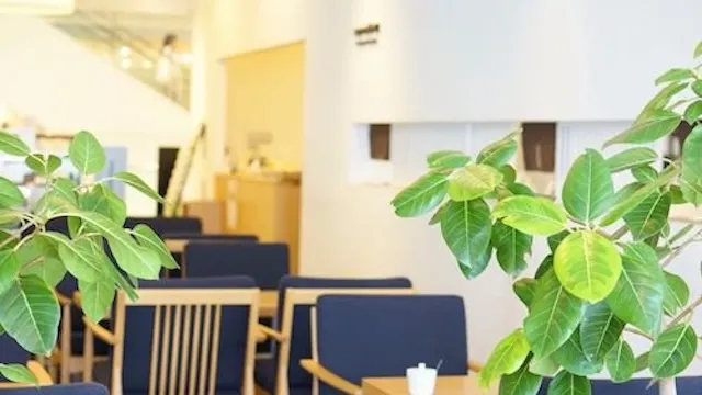 静岡市葵区のおすすめカフェデート30選!初デートから2回目以降も安心の目的別ガイド