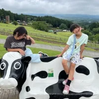 結婚相談所ラポールアンカー