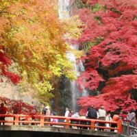 箕面結婚相談所