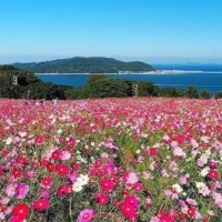 福岡人が楽しめるアウトドア派のデートスポット！体験型デートの楽しみ方