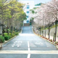 中学校学歴婚活結婚相談所