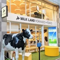 東京都目黒区のおすすめカフェデート26選！初デートから2回目以降も安心の目的別ガイド