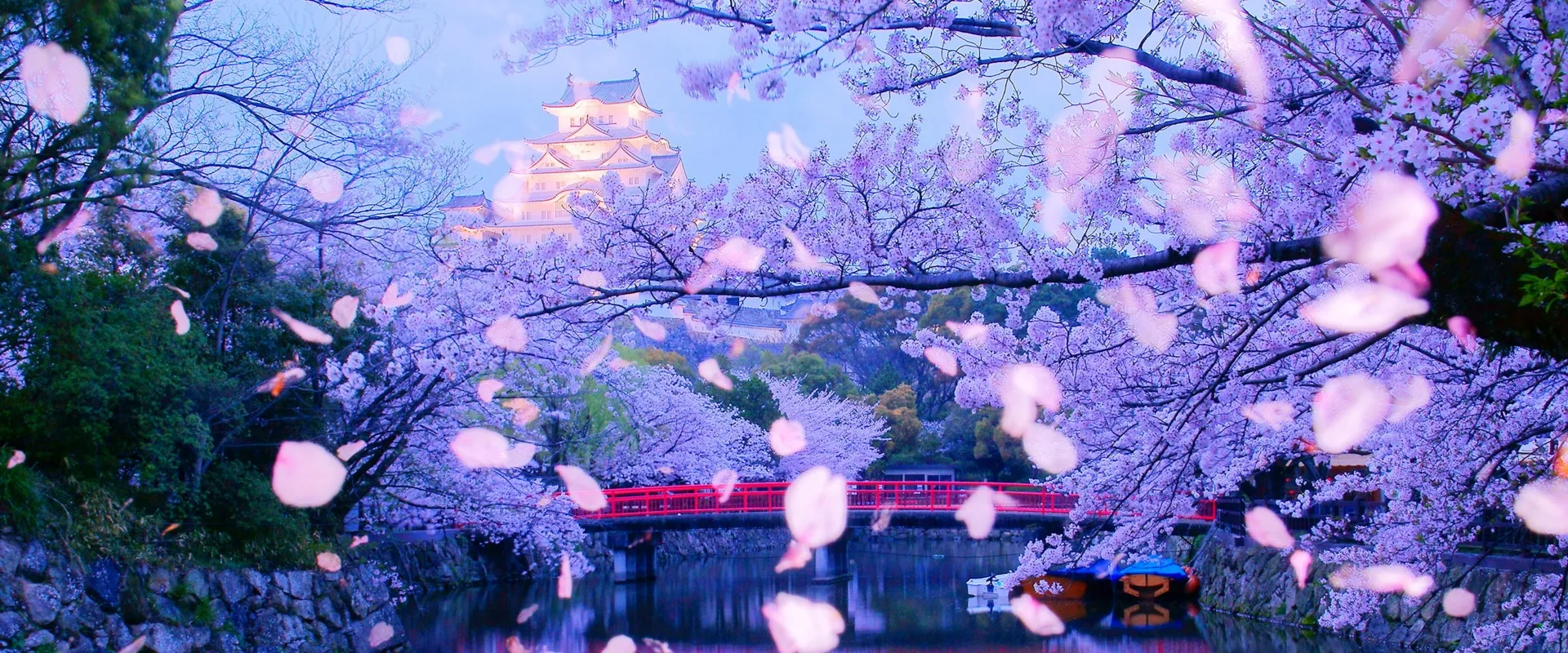 姫路の結婚相談所